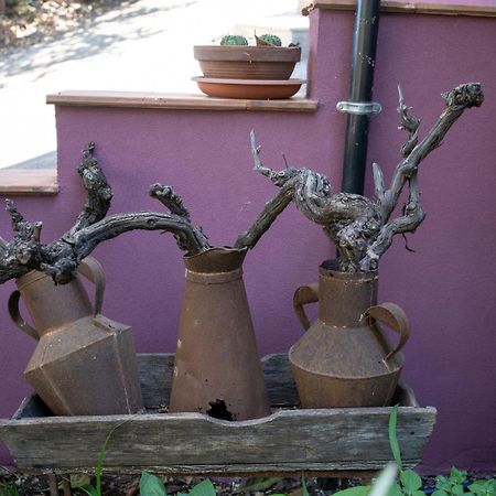 Agriturismo Etna-Mare 피에디몬테 에트네오 외부 사진
