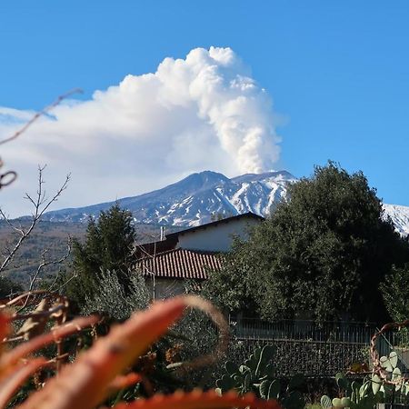 Agriturismo Etna-Mare 피에디몬테 에트네오 외부 사진