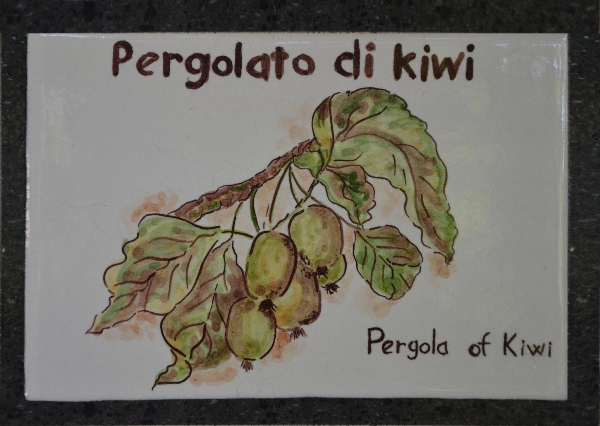 Agriturismo Etna-Mare 피에디몬테 에트네오 객실 사진