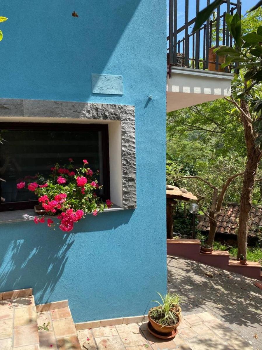 Agriturismo Etna-Mare 피에디몬테 에트네오 외부 사진