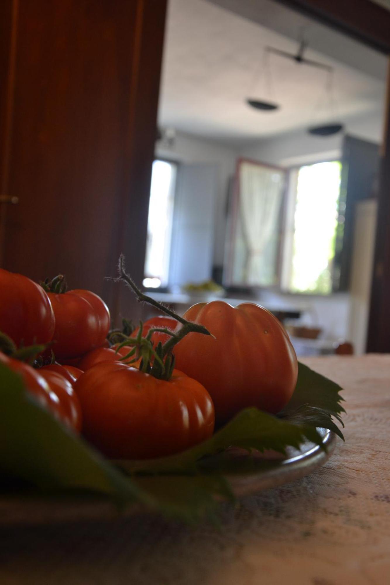 Agriturismo Etna-Mare 피에디몬테 에트네오 객실 사진